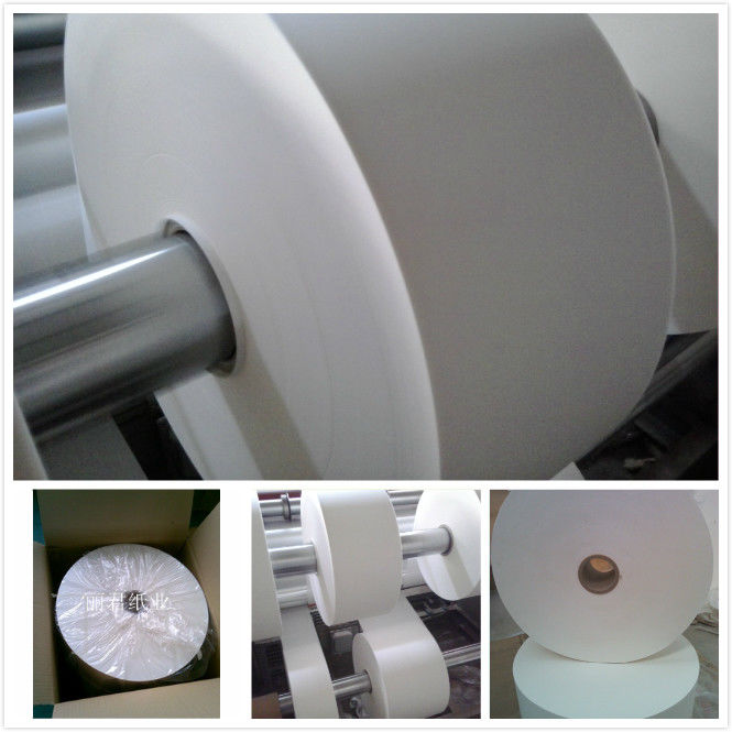 Imballaggio termico di tenuta dei consumi, rotolo di carta filtrabile 12,5 cm 18 cm 20 cm